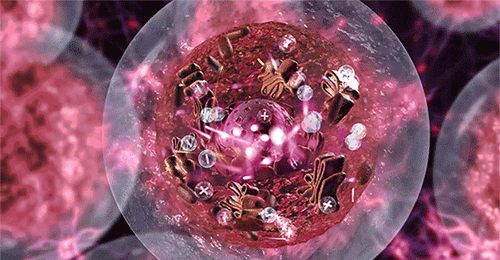 cd57a2e4ac51db6301f867bb6d69c4dd_1742540717_33.gif