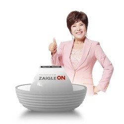 자이글 온 심플 고주파자극기 식약처  통증완화 의료기기 3등급 허가제품
