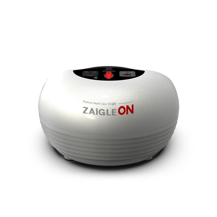 자이글온오로라 고주파 자극기 렌탈런칭 월42.000원 제휴카드 추가할인